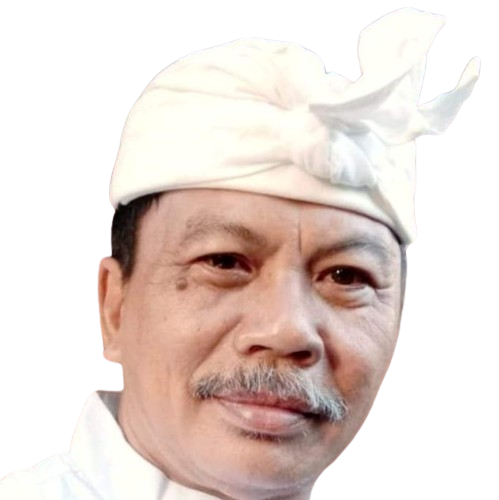 Bali Driver
