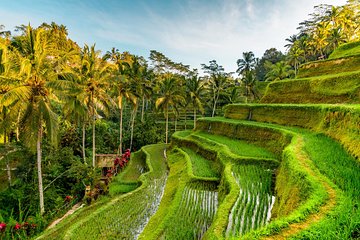 ubud bali