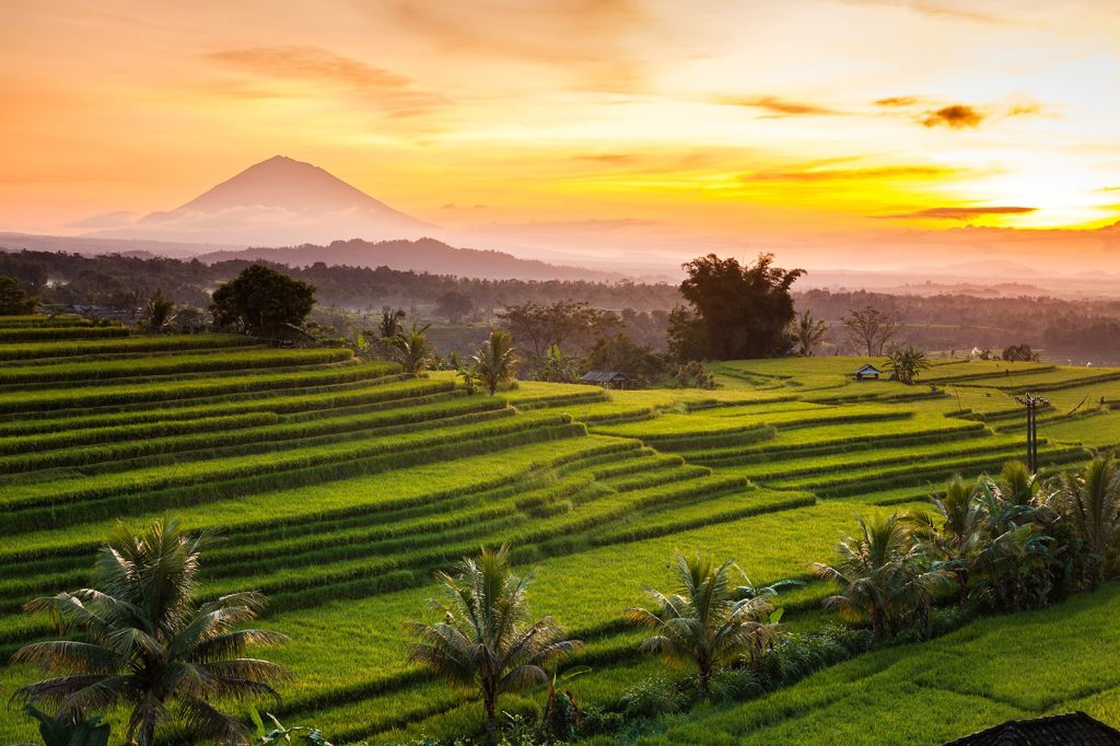 jatiluwih Rice Terraces in Bali